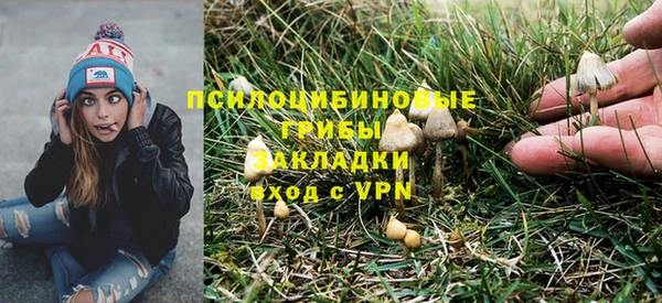соль курить ск Кукмор