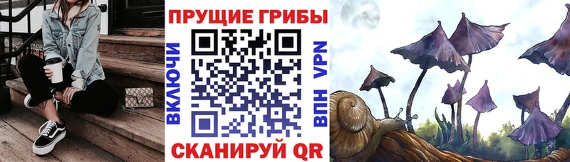 Псилоцибиновые грибы Magic Shrooms Валдай