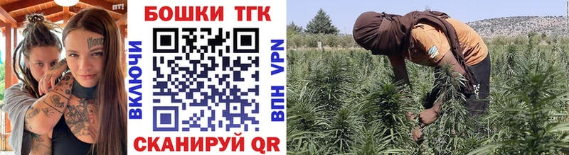 Купить где  Валдай  Каннабис OG Kush 